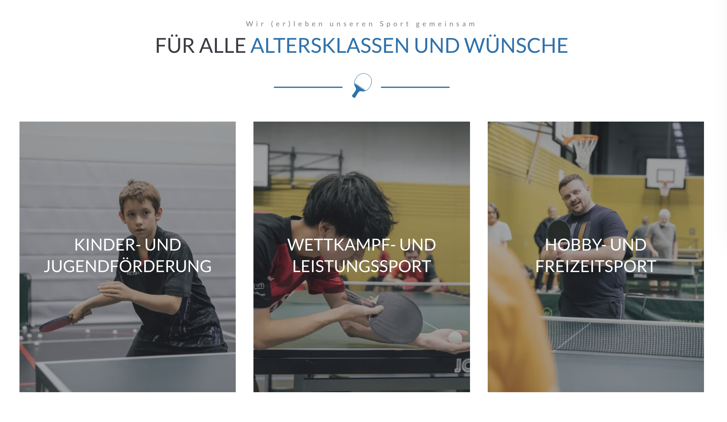 Bild der Drei Bilder unter dem dem Video auf der Startseite der Website